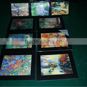 3D Framed Picture