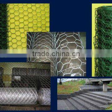 Wire Mesh (galvanized, pvc coated, 20 years factory)