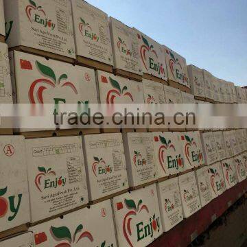 Apples Container in QINGDAO photo-2