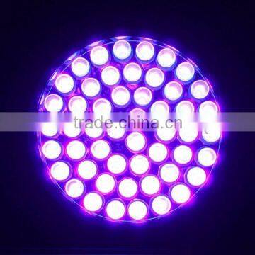 51 UV LED Ultra Violet Blacklight Flashlight photo-5
