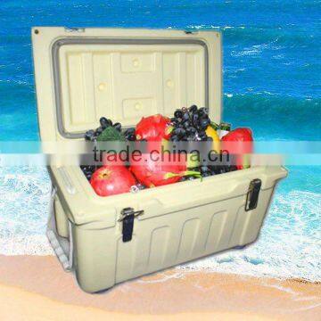 Cooler Box for Food Transportation