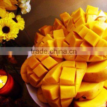 Best Quality Fresh Mango photo-1