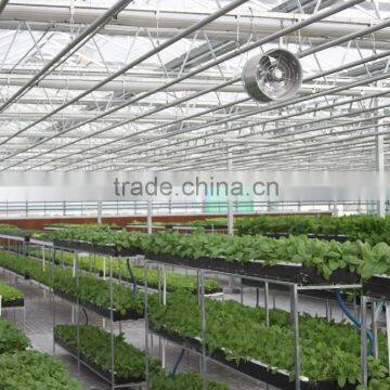 Polycarbonate Sheet Greenhouse photo-3