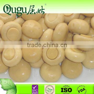 Champignon mushroom in can Oyster mushroom straw mushroom