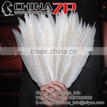 ZPDECOR Wholesale TOP Quality 35-40cm Bleached White Silver Pheasant Feathers for Carnival Decoration