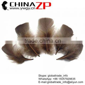 ZPDECOR Top Selling Plumage Wholesale Dyed Coffee Turkey T-Base Body Plumage Feathers for Sale