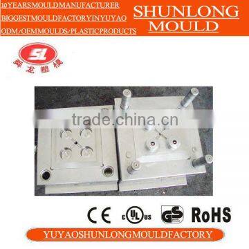 Shunlong 2014 Professionial Plastic Mould in Yuyao in China