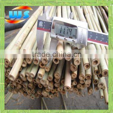 House use little bamboo