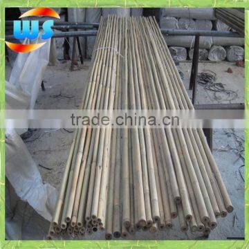 Long bamboo cane made of natural bamboo