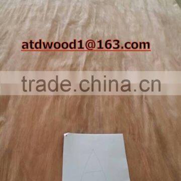 0.3+ Burma Gurjan veneer