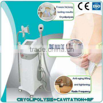 Cryotherapy Fat Reduction Body Shaping Slimming Supplements Beauty Machine