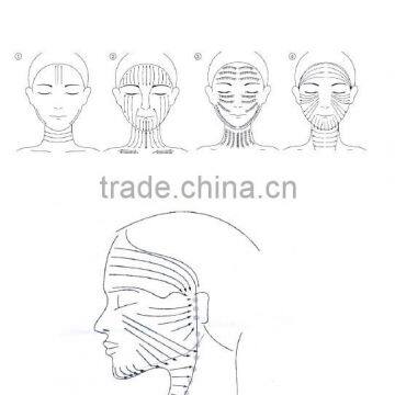 WS-34 Needl Free Mesotherapy Freeze Fat Machine