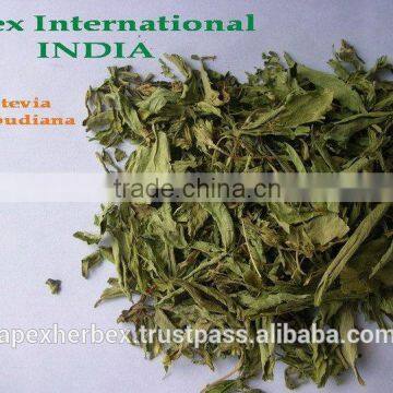 Stevia Rebudiana / Stevia Leaves Powder