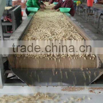 Blanched Peanut Kernel 28-32