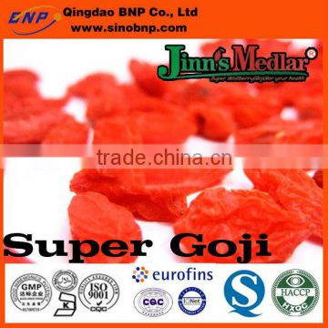 Top quality competitive price goji berry powder