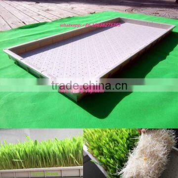 Plastic flat seed tray seedling tray nursery tray