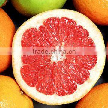 Grapefruit