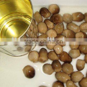 CANNED STRAW MUSHROOM