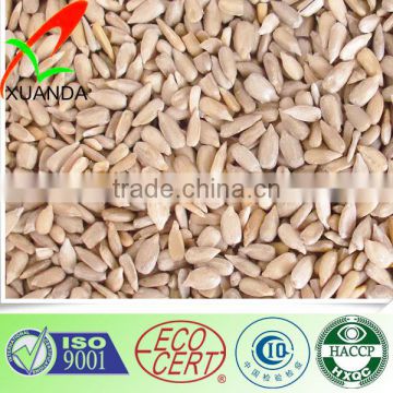 sunflower seeds kernels price for oil-type & edible type