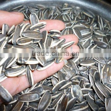 sunflower seeds 20/64,22/64, 24/64