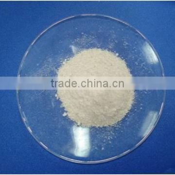 Chitosan Powder