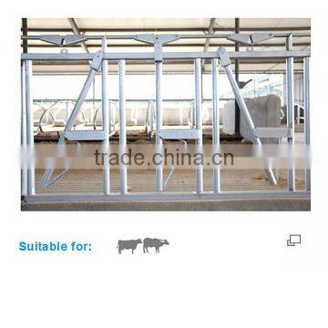 Cattle Farms Cow Head Lock for Locking Animal photo-3