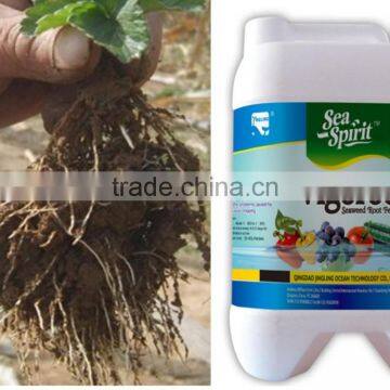 kinds of seaweed organic fertilizer