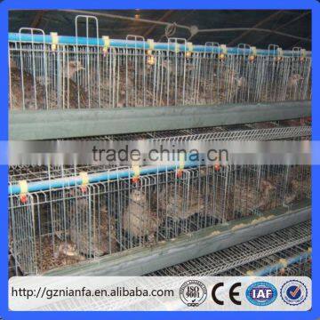 Guangzhou use for animal bird cage poultry cage professional producer chicken cage(Guangzhou Factory)