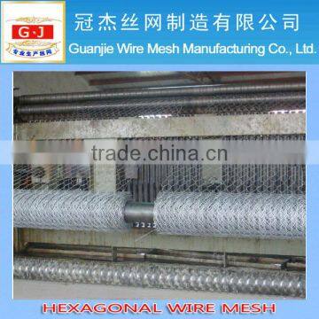 galvanized hexagonal wire mesh/chicken wire mesh from Anping