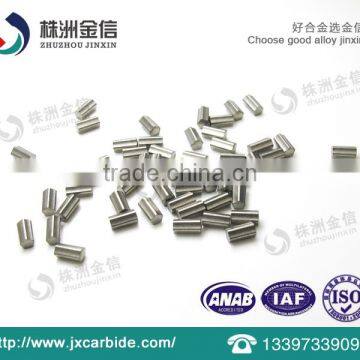 Hot Sale Winter Tire Studs Carbide Pins photo-4