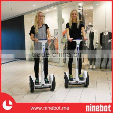 China Electric Chariot photo-5