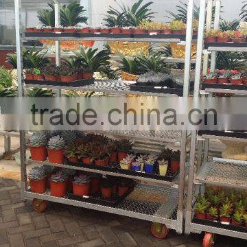 316 Conservatory Car Flower Transport Trolley Cart photo-4