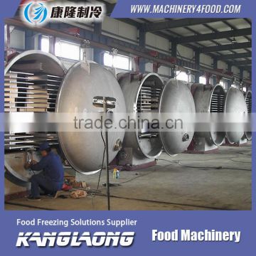 500Kg/H flower freeze drying machine