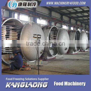 Hot Sale Food Vacuumfreeze Dryer for Sale photo-4