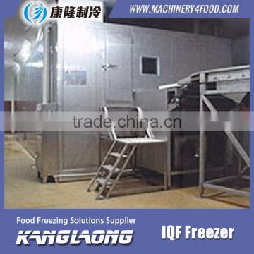 High Quality IQF Individual Quick Freezing Machine With Compressor For Ultra Low Temperature Freezer