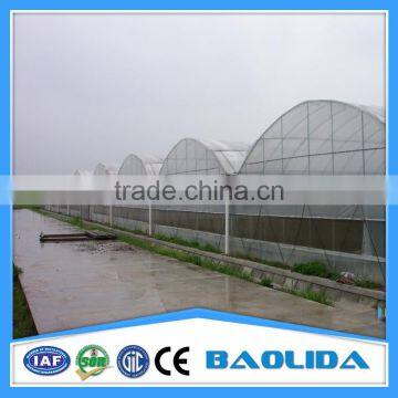 Multi-span Tunnel Greenhouse photo-3