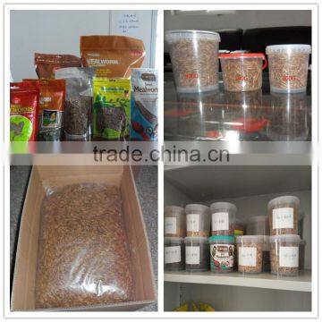 Yongzheng High Quality Pet Food Dried Mealworm photo-2