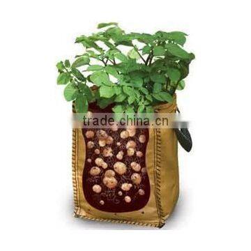 non woven fabric plant pots garden grow bags about tomatoes