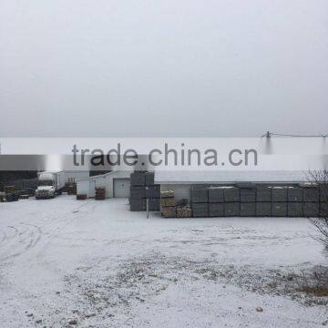 Live Canadian Lobster photo-5