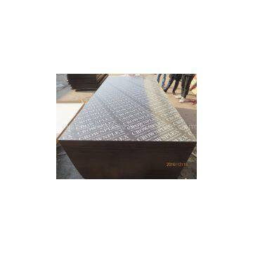 CROWNPLEX BRAND FILM FACED PLYWOOD, POPLAR CORE, WBP MELAMINE GLUE, BROWN PRINTED FILM photo-3