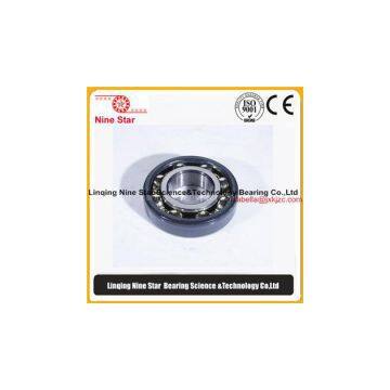 Insulation Bearings Manufacturer photo-3