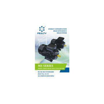 MS series motor