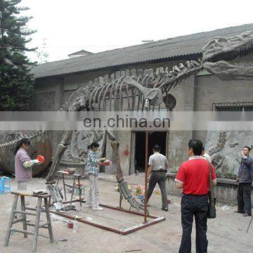 2015 Dinosaur Skeleton Model for Dinosaur Park for Kid photo-3