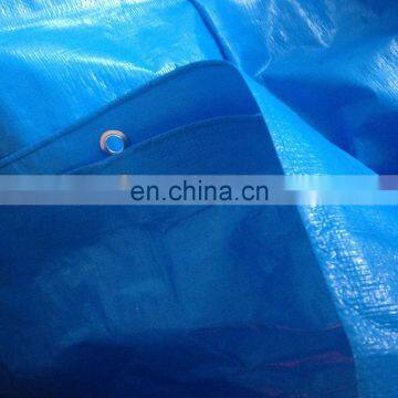 Tarp,printed tarps,tarpaulin car cover