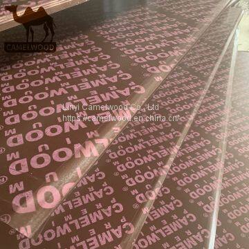Melamine glue film faced plywood marine plywood with poplar core