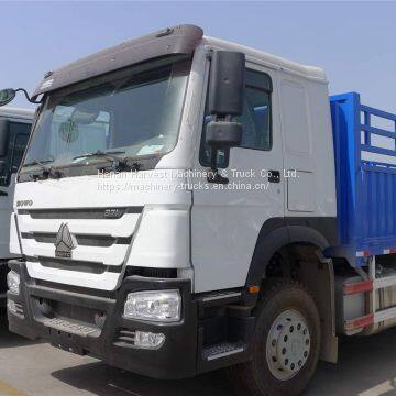 HOWO 10 Wheeler Diesel 50t Heavy Cargo Truck photo-4