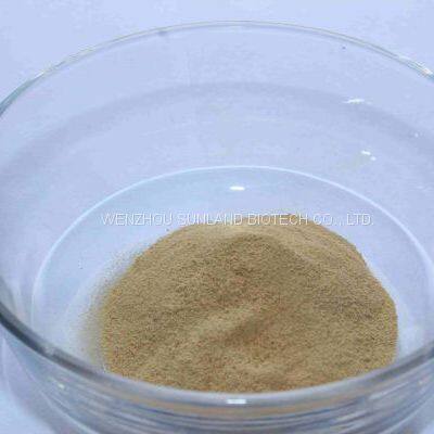 Xylanase