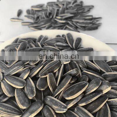 Manufacturer Roasted and Salted Sunflower Seeds Sunflower Roasted Seed for United Kingdom photo-5