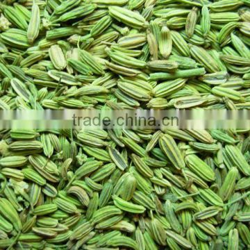 Fennel Seeds