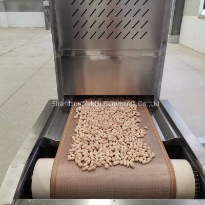 High Efficiency Tunnel Belt Type Electric Peanut Roaster